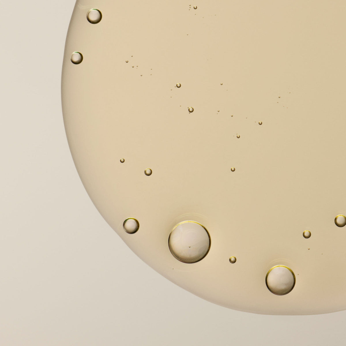 Shampoo (Codilar_copy)