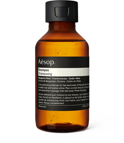 Shampoo (Codilar_copy)