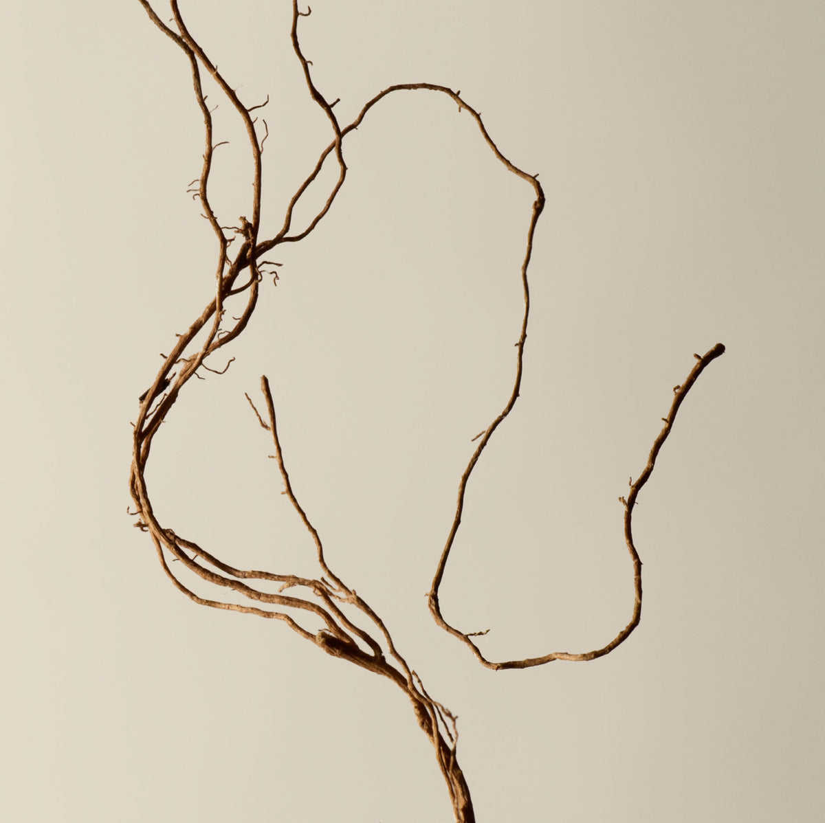 Déodorant
