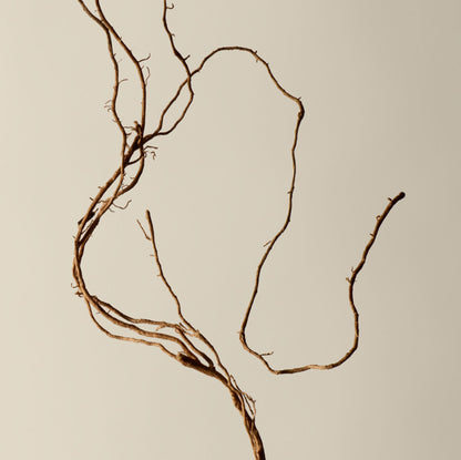 Déodorant