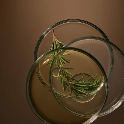 Lucent Facial Night Masque